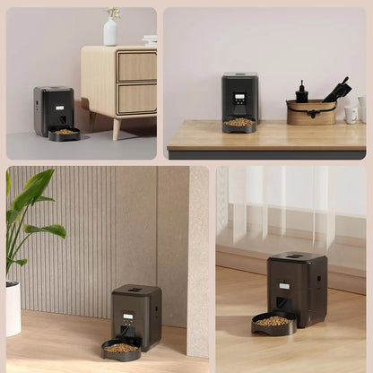 Pet Feeder® Dispensador de Comida Automático